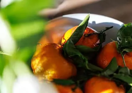 Sunlight - Suze Modern بوزولي