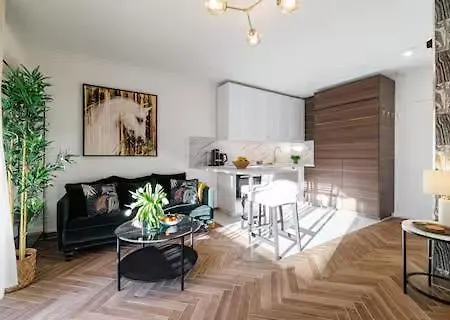 Apartment Sunlight - Suze Modern *